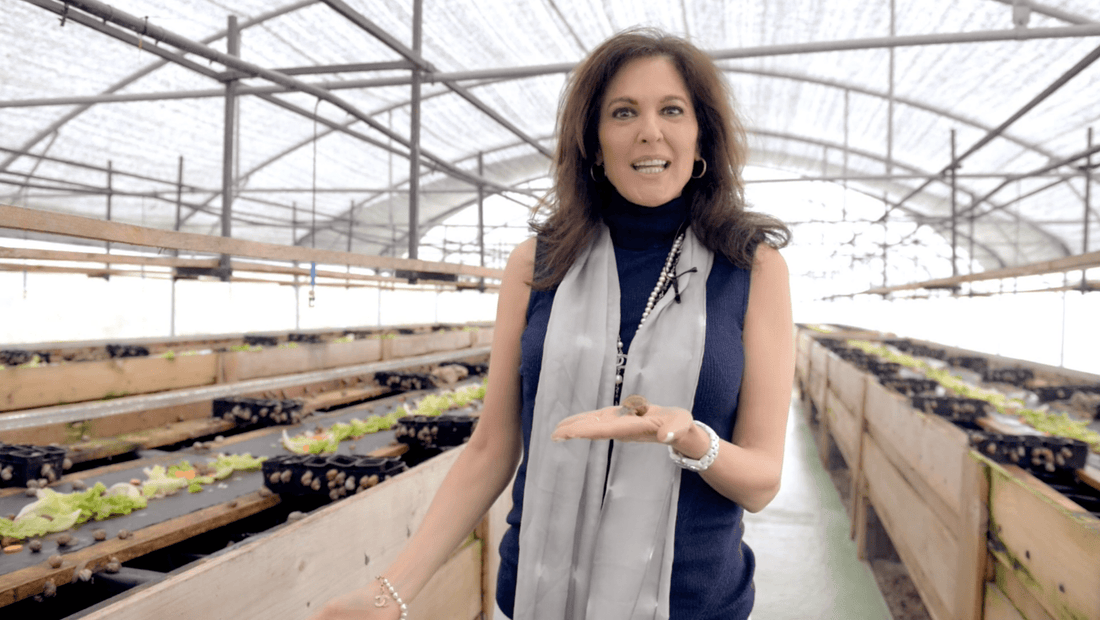 Ab.doc Ris Dr. Doris Day - Spain VLOG – Doris Day MD
