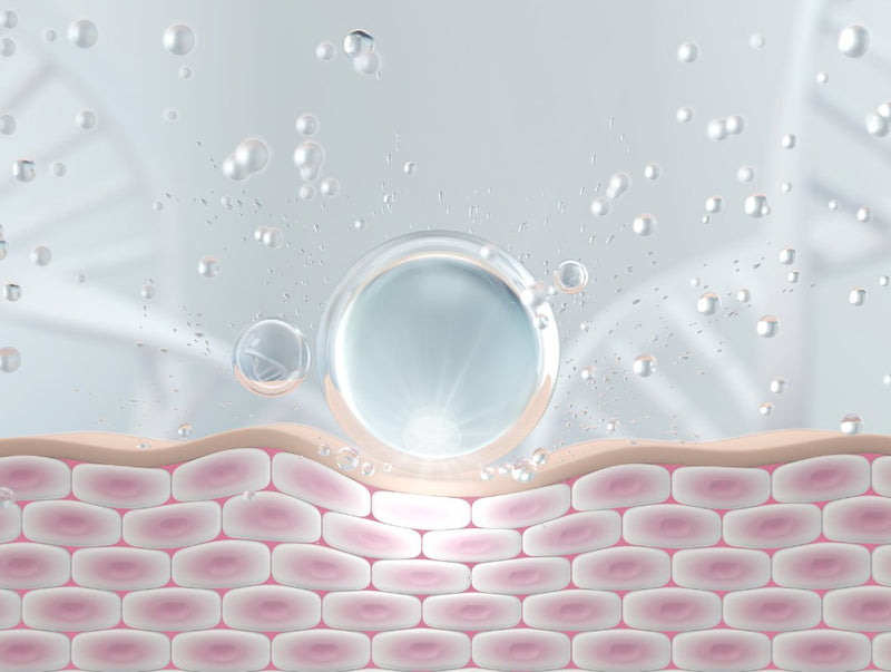 [Q&A Session] How Can I Regain Lost Collagen?