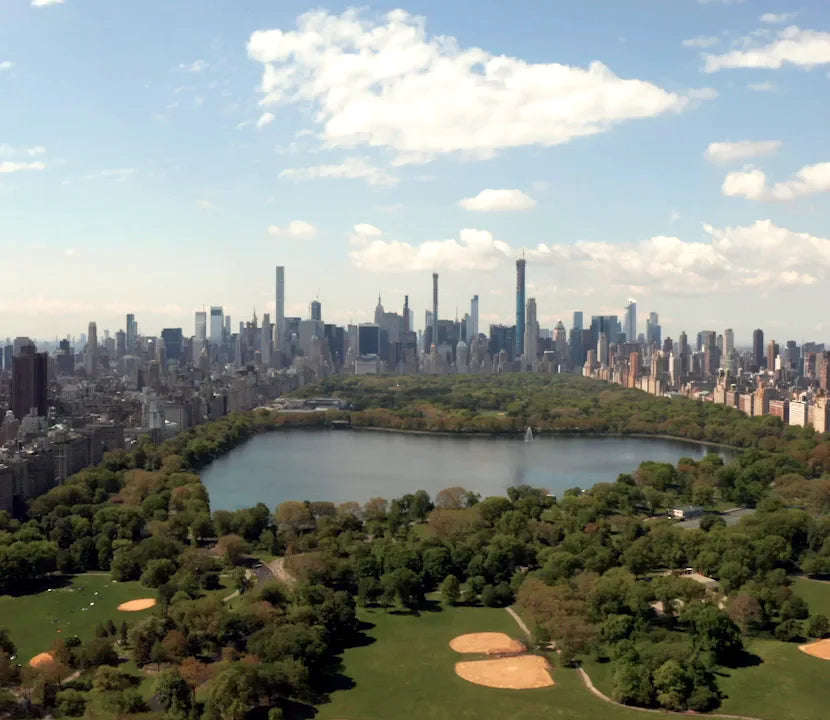 Aerial view of Central Park and the Manhattan skyline